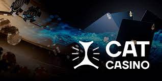 Стартуйте играть в игровые автоматы в Кэт Казино прямо сейчас!